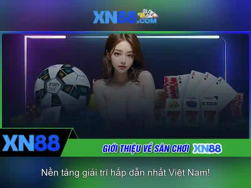 Chính sách khuyến mãi và hỗ trợ khách hàng
