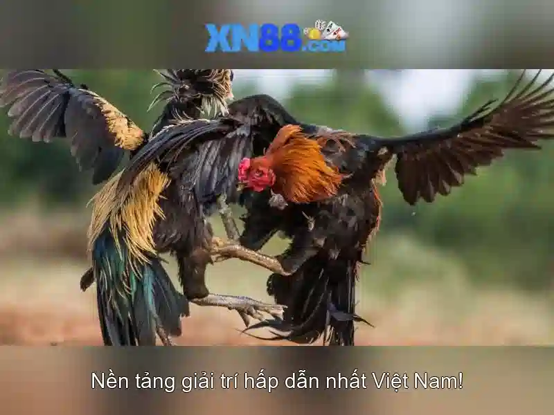 Xn88: Giới thiệu về nhà cái trực tuyến