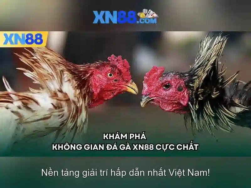 Lịch sử và mô hình hoạt động\n<li style=