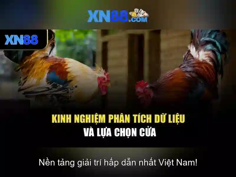 xn88 là gì và các tính năng nổi bật