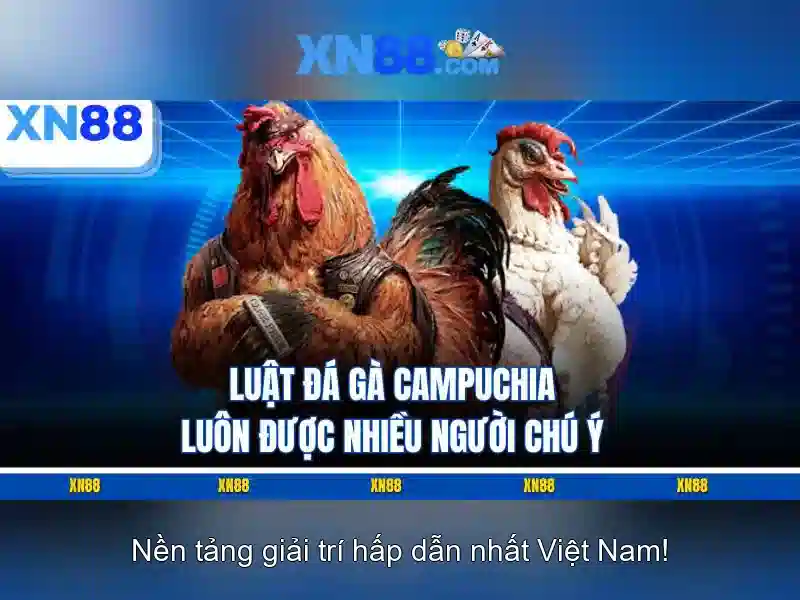 XN88: Tổng quan và hướng dẫn cơ bản