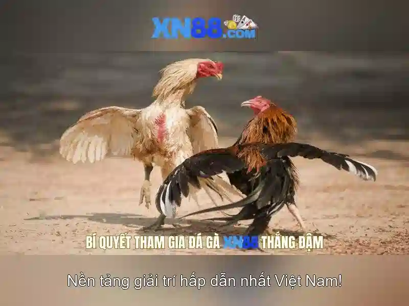 Trò chơi casino và sòng bài trực tuyến\n\n<h4>An toàn và trách nhiệm khi tham gia</h4>\n<li style=