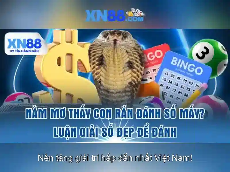 Hướng dẫn đăng ký và bắt đầu<h3><b>Kết luận</b></h3><li style=