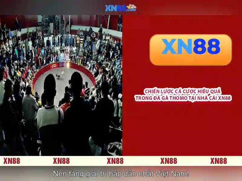 xn88: Đánh giá nền tảng cược trực tuyến an toàn