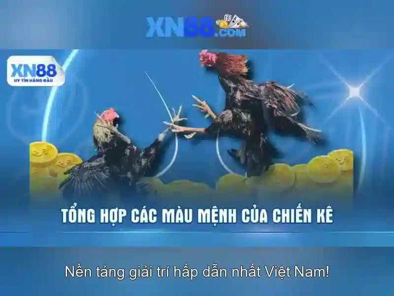 Giới thiệu xn88: nền tảng giải trí trực tuyến