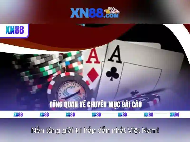 xn88 là gì và các tính năng nổi bật