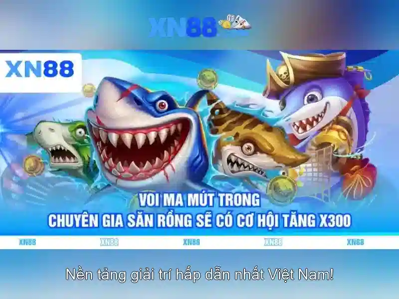 Lời kết và triển vọng