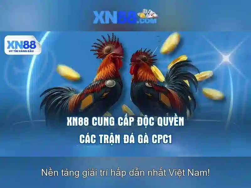 Bối cảnh và mục tiêu của xn88<h2><b>Nền tảng và sản phẩm</b></h2><li style=
