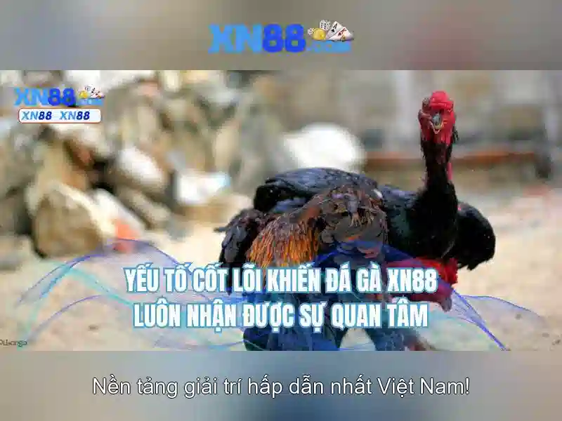 xn88 - Nhận định tổng quan về nền tảng cá cược trực tuyến