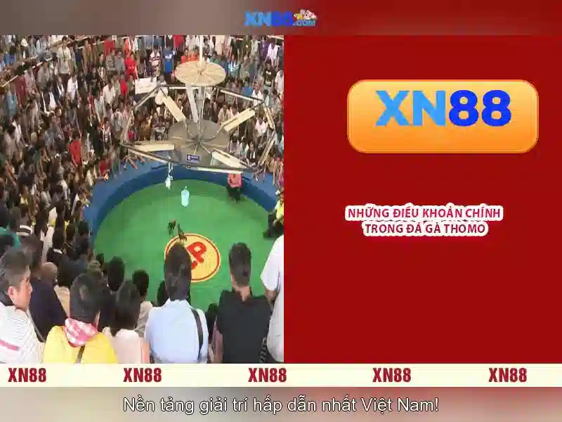 Giới thiệu về xn88