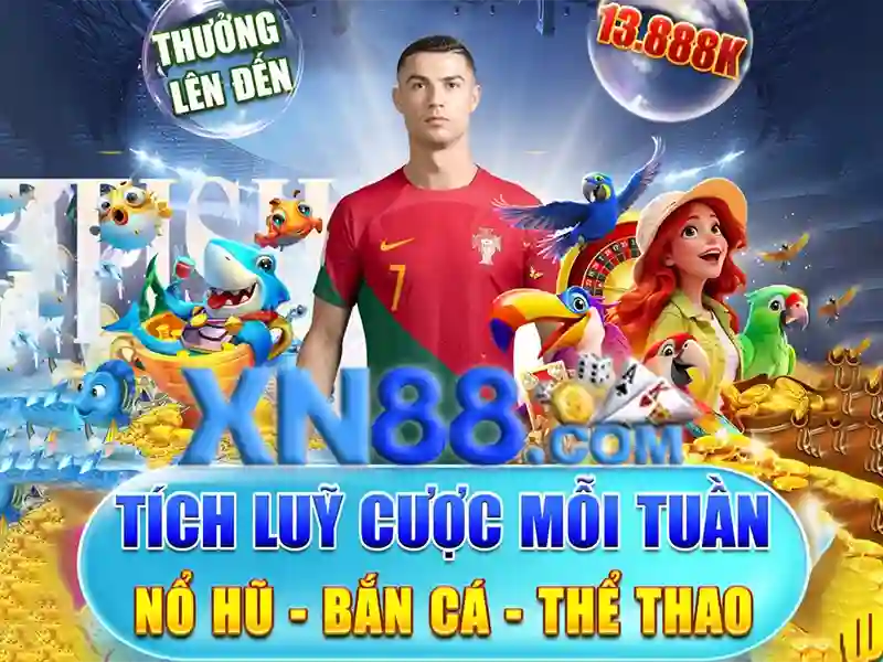 Kết luận và triển vọng