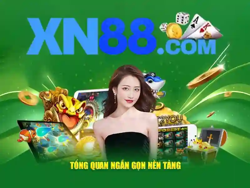 xn88 com – Giới thiệu và định hướng thương hiệu