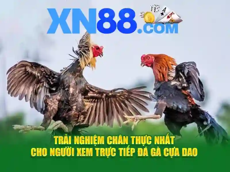 xn88 cacelem – Khám phá giá trị thương hiệu và trải nghiệm